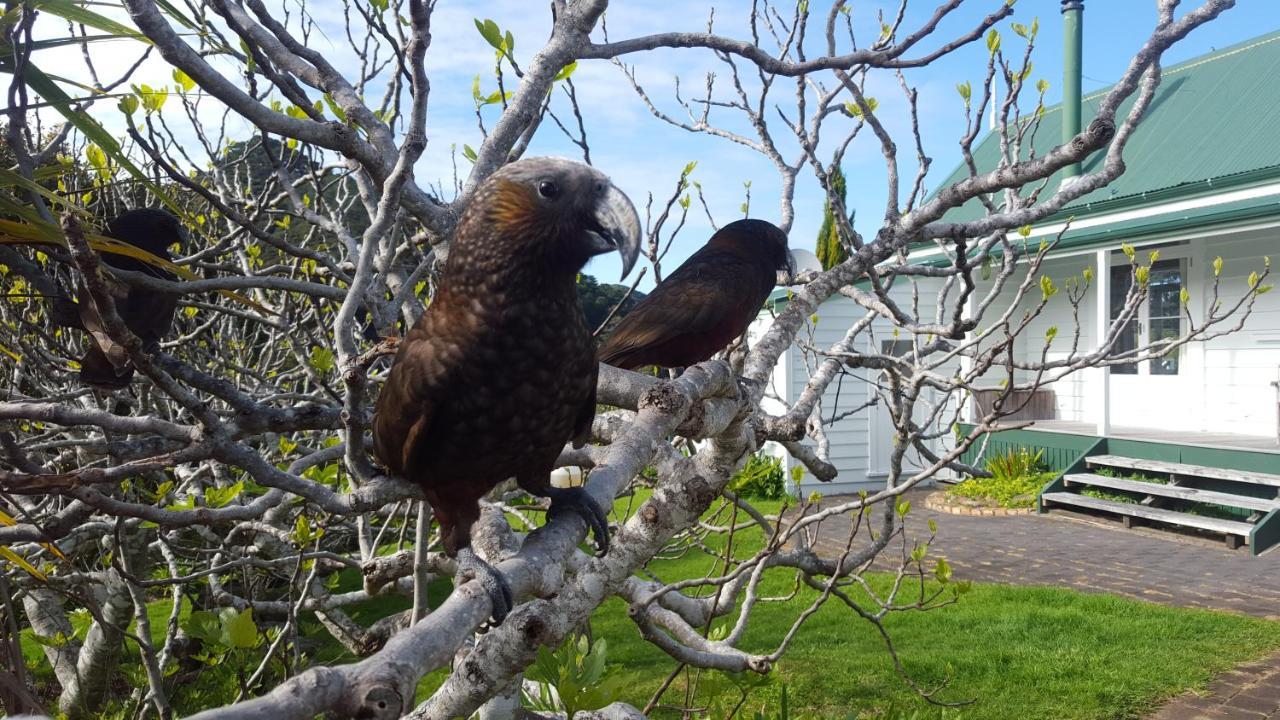 Вілла Glenfern Sanctuary Okiwi Екстер'єр фото