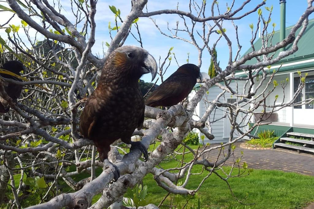 Вілла Glenfern Sanctuary Okiwi Екстер'єр фото